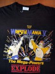 画像1: 1980sWWF?ハルクホーガン?プロレスTシャツ (1)