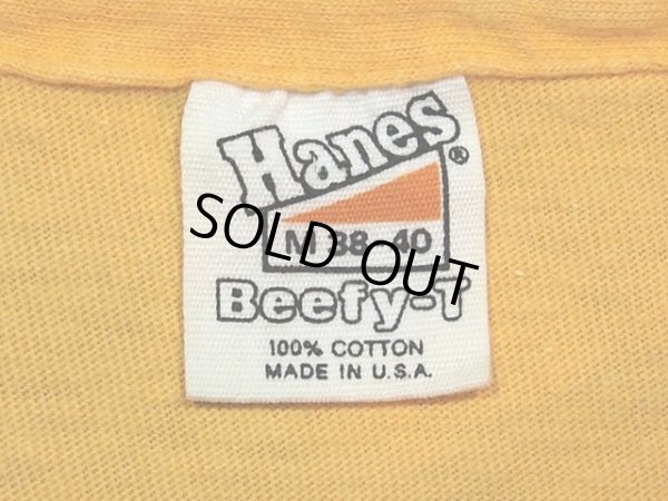 画像4: 1970s【Hanes】HAWAIIサーフTシャツ