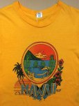 画像1: 1970s【Hanes】ハワイサーフTシャツ (1)