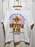 画像1: 1980sGrateful Dead 1987ツアーTシャツ (1)