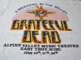 画像5: 1980sGrateful Dead 1987ツアーTシャツ