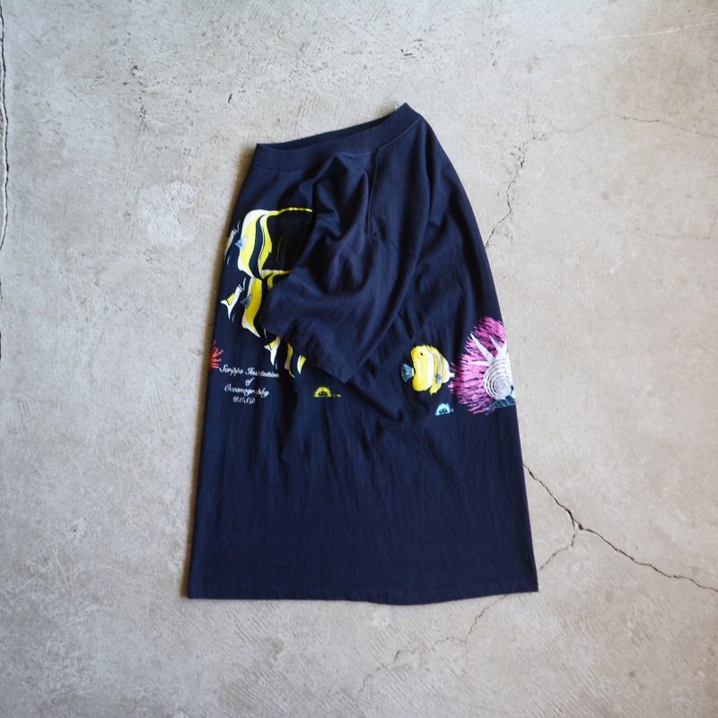 1990s スクリップス海洋研究所Tシャツ　表記L                                    [E20-5-86]