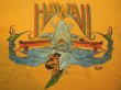 画像5: 1970s【Hanes】HAWAIIサーフTシャツ (5)