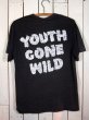 画像3: 1980s【SKID ROW】バンドTシャツ　“YOUTH GONE WILD” (3)