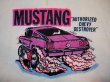 画像3: 1960s【MUSTANG】半袖スウェット (3)