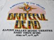 画像5: 1980sGrateful Dead 1987ツアーTシャツ (5)