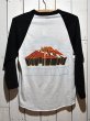 画像2: 1980s VAN HALEN1982年ツアーTシャツ (2)