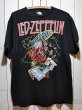 画像1: 1990s LED ZEPPELINバンドTシャツ (1)