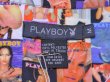 画像3: 1980s〜【PLAYBOY】セクシー総柄ポリシャツ　表記M (3)