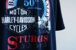 画像9: 1990s HARLEY-DAVIDSON プリントTシャツ　 STURGIS　 表記XL  (9)