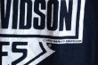 画像13: 1990s HARLEY-DAVIDSON プリントTシャツ　 STURGIS　 表記XL  (13)