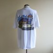 画像1: 2000s Hard Rock CAFE Tシャツ　 MEMPHIS　 表記L  (1)