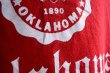 画像10: 1980s THE UNIVERSITY OF OKLAHOMA カレッジスウェット　 表記L  (10)