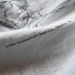 画像7: 1990s ANATOMICAL CHART Co. 人体解剖図スケルトンTシャツ(Tワンピ)　 "MADE IN USA"　 表記XL  (7)